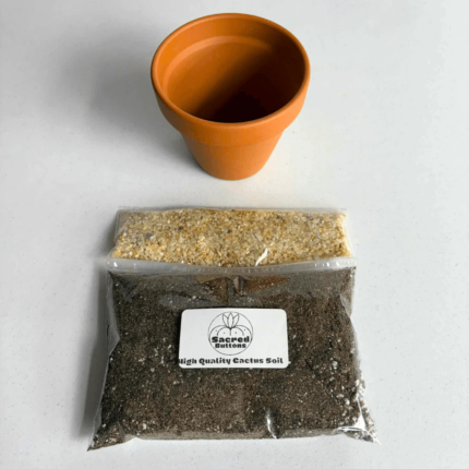 Cactus Potting Kit