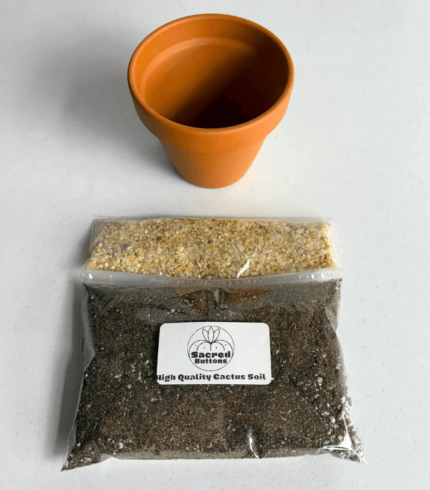 Cactus Potting Kit
