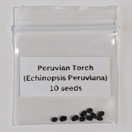 Peruvian Torch Seeds (Trichocereus peruviana)