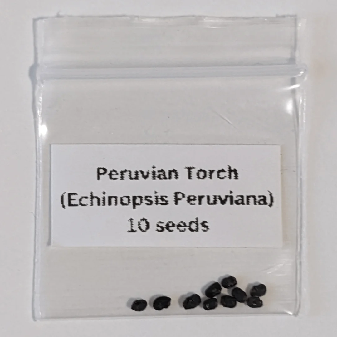 Peruvian Torch Seeds (Trichocereus peruviana)