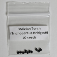 Bolivian Torch Seeds (Trichocereus bridgesii)