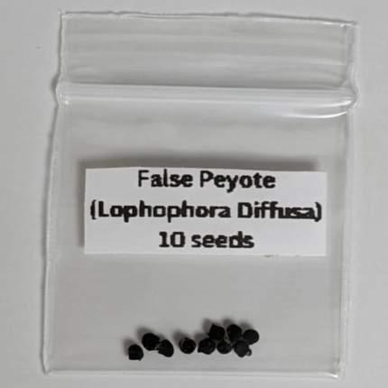 False Peyote Seeds (Lophophora diffusa)