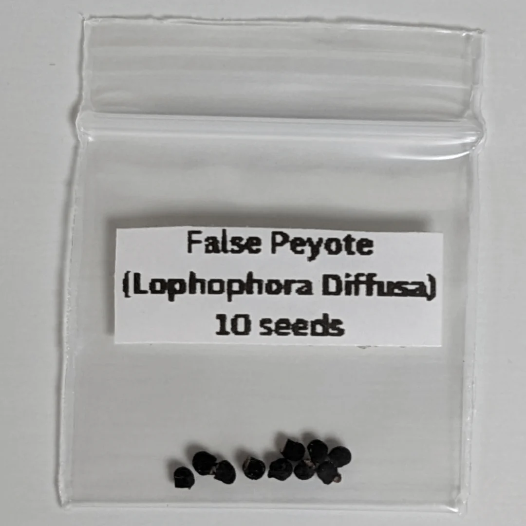 False Peyote Seeds (Lophophora diffusa)
