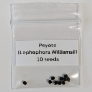 Peyote Seeds (Lophophora williamsii)