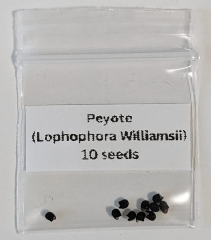 Peyote Seeds (Lophophora williamsii)