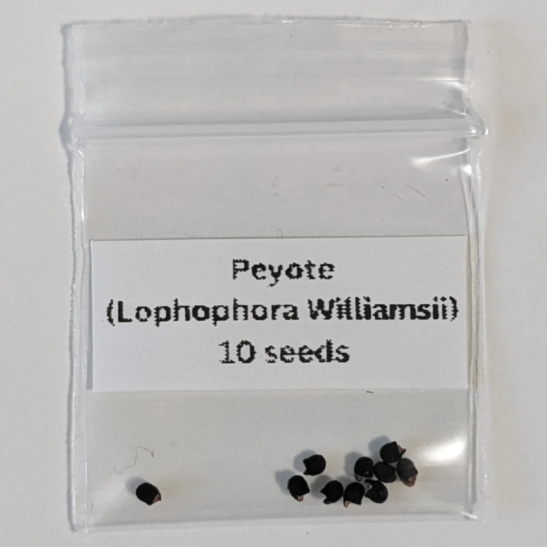 Peyote Seeds (Lophophora williamsii)