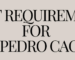 Light Requirements for San Pedro Cactus